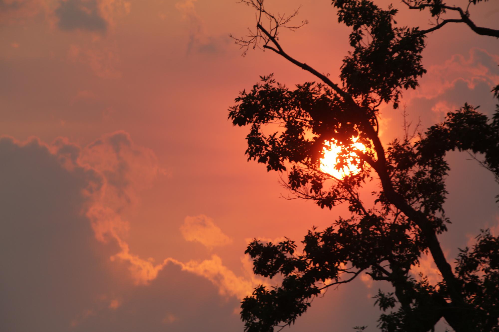 SUNSET-WILDFIRE-AIR-QUALITY-DENVER-CITY-PARK