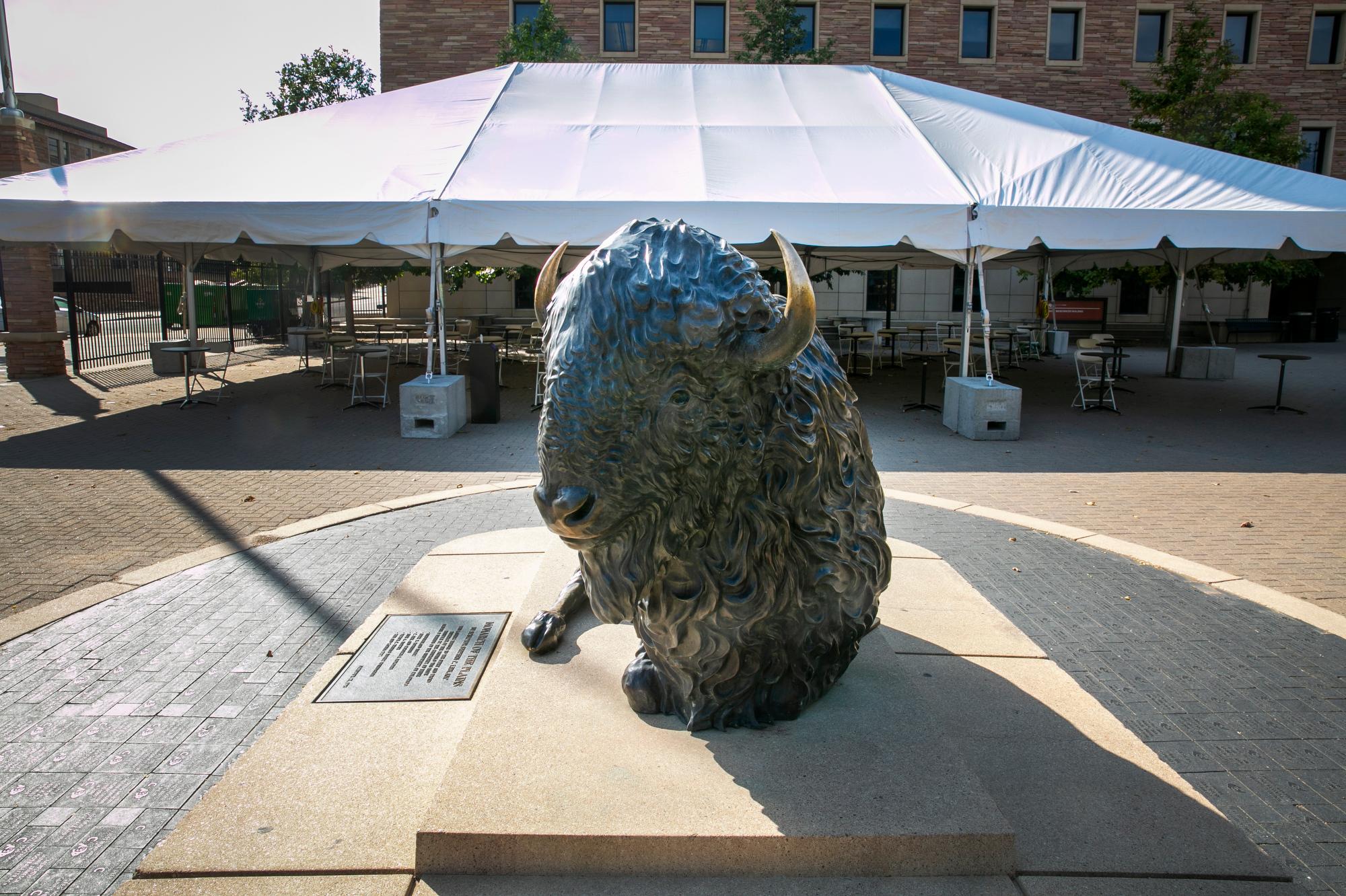 CU BOULDER CAMPUS PANDEMIC LIFE