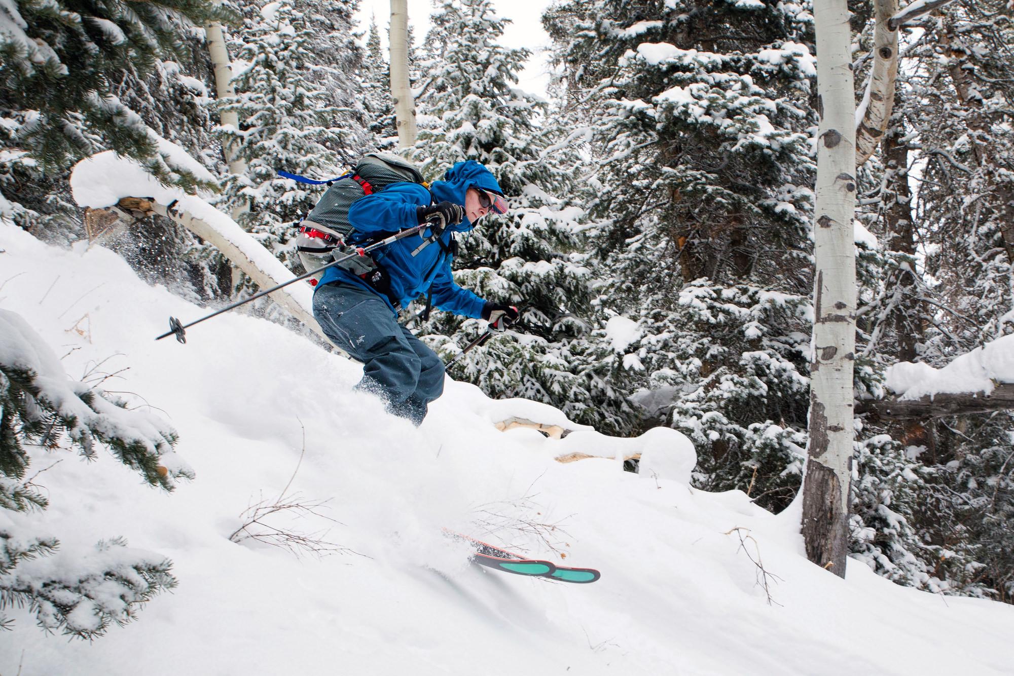 BLUEBIRD-BACKCOUNTRY