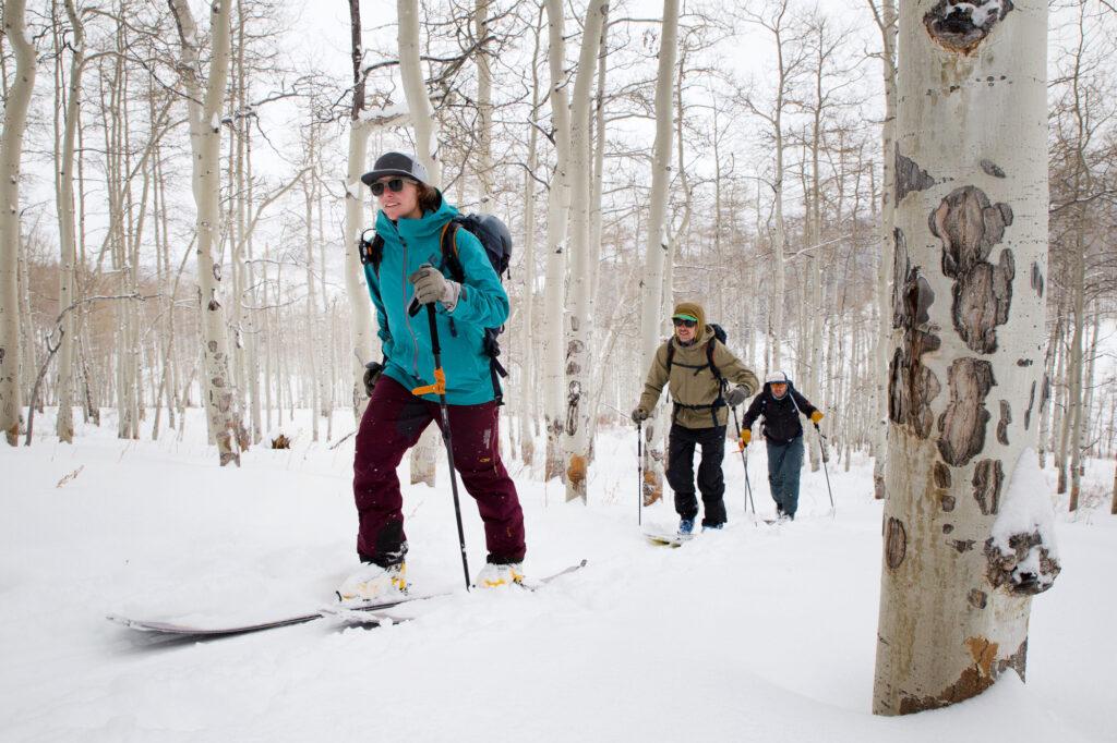 BLUEBIRD-BACKCOUNTRY