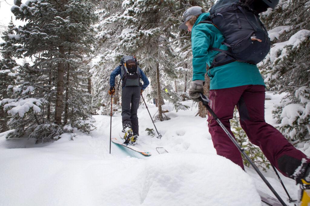 BLUEBIRD-BACKCOUNTRY