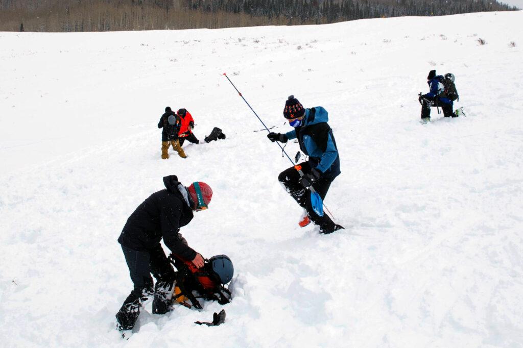 BLUEBIRD-BACKCOUNTRY