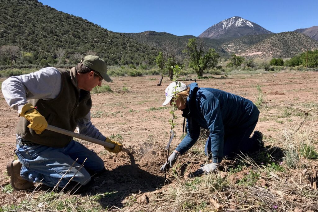 Gold Medal Orchard Montezuma County Colorado Endangered Places