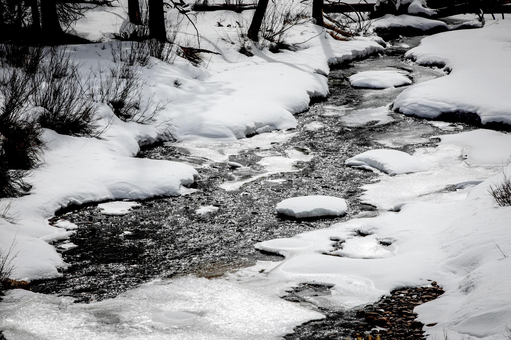 210309-HOMESTAKE-WETLANDS-JERRY-MALLETT-2