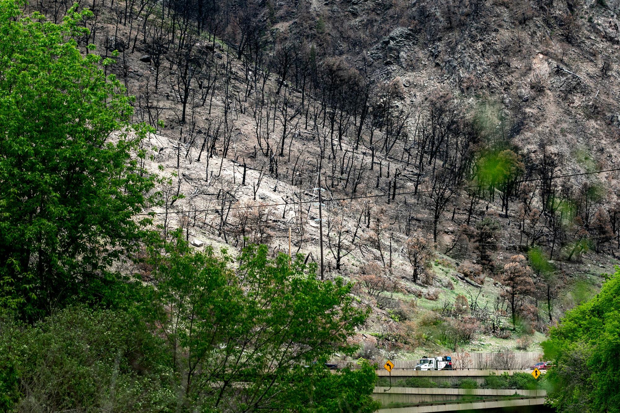 BURN-SCAR-GLENWOOD-CANYON-GRIZLY-FIRE