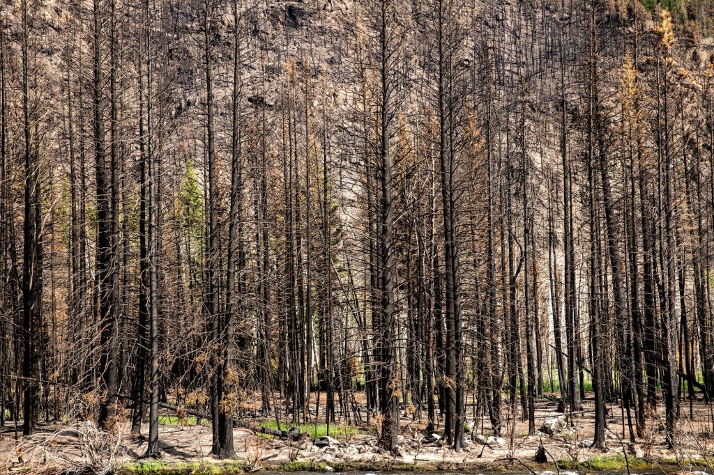 CAMERON-PEAK-WILDFIRE-BURN-SCAR