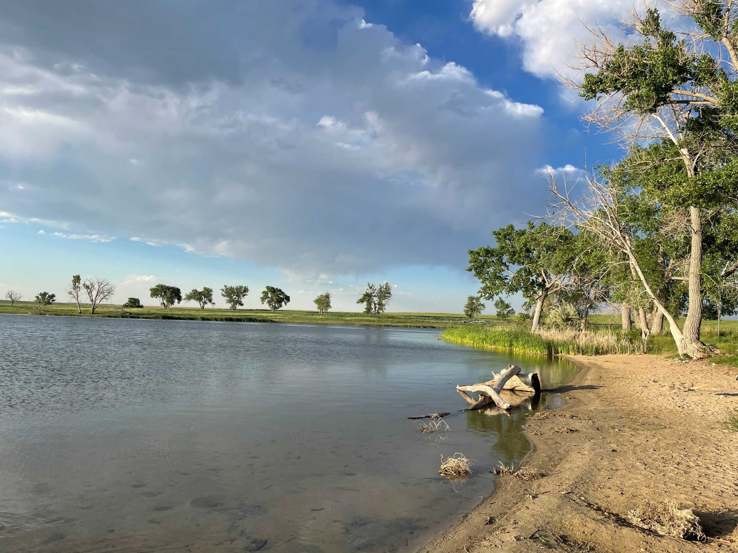 Rocky Mountain Arsenal Wildlife Refuge