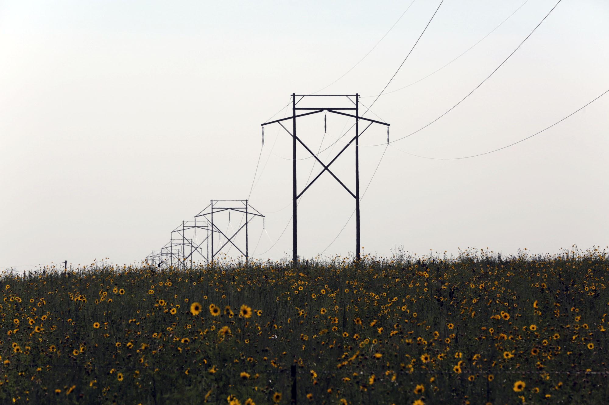 CMOTR-FORT-MORGAN-WILDFLOWERS-POWER-LINES