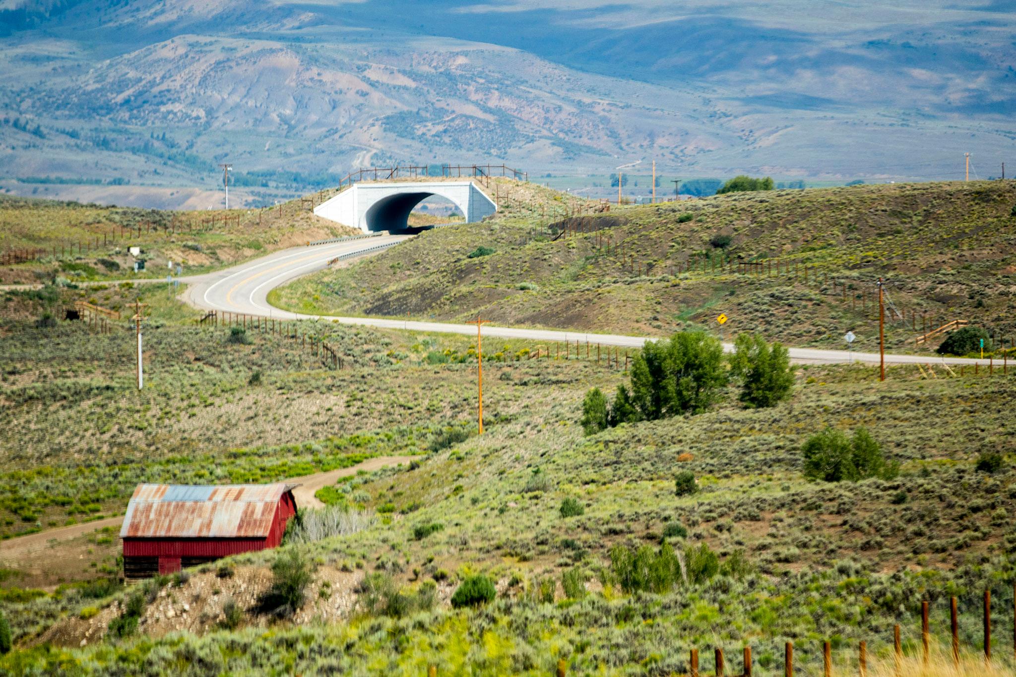 A wildlife bridge over State Highway 9 on the way to Kremmling. Aug. 4, 2021.