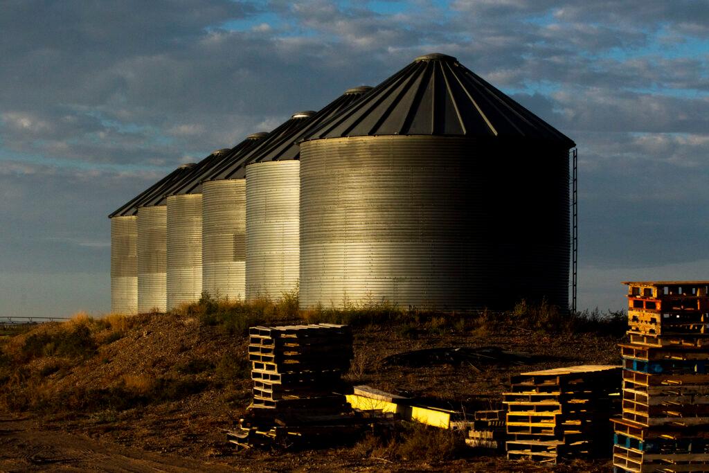 Dave Warsh's farm in the San Luis Valley town of Center. Aug. 29, 2021.