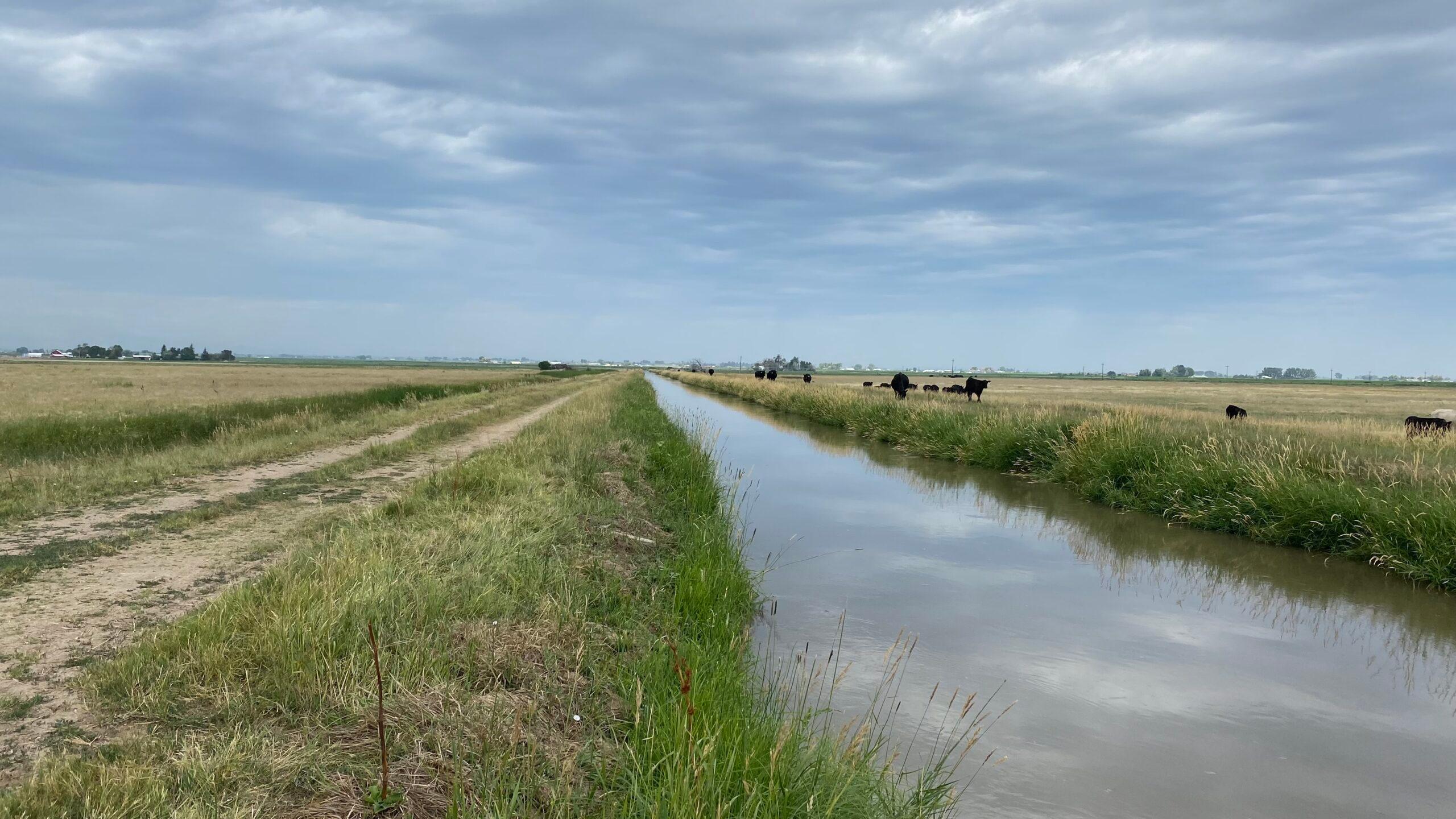 earthen canal agriculture