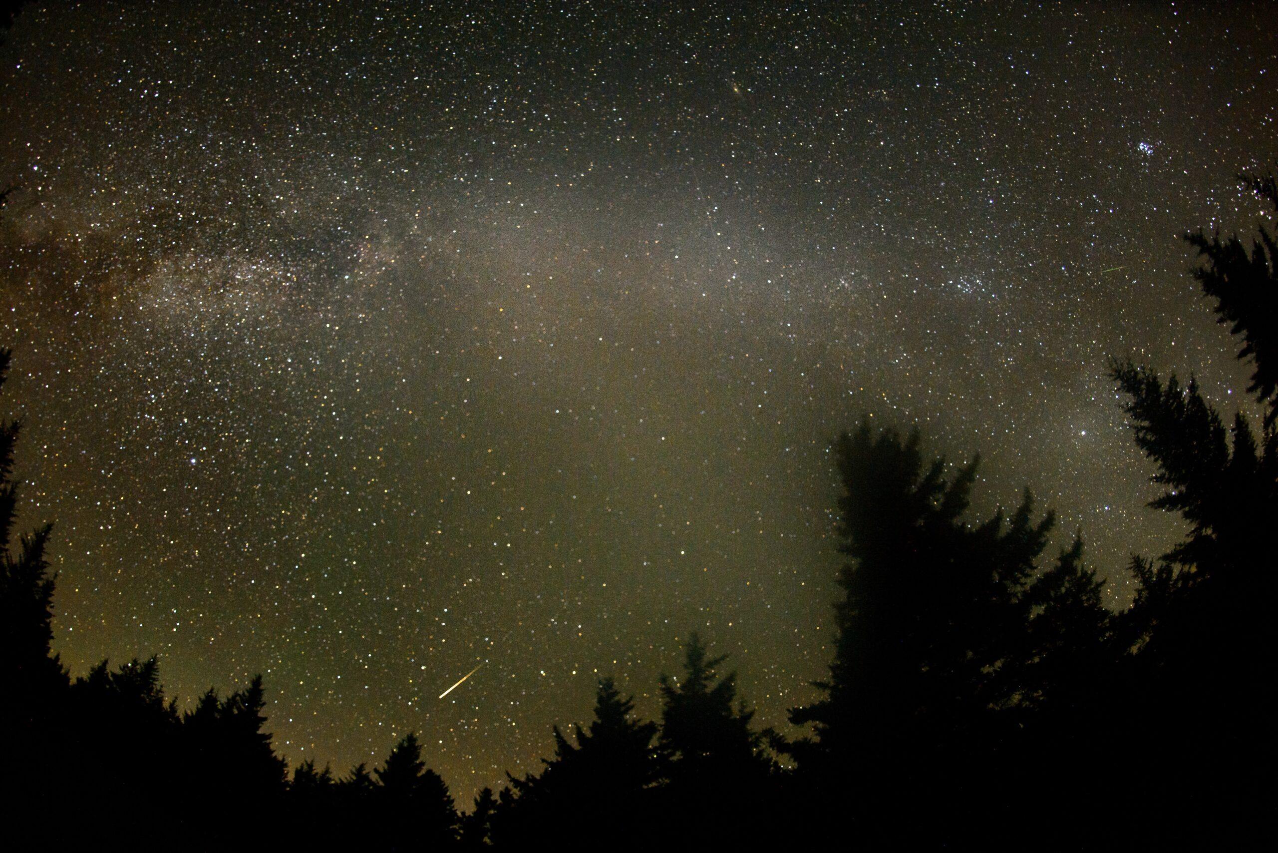 Perseid Meteor Shower