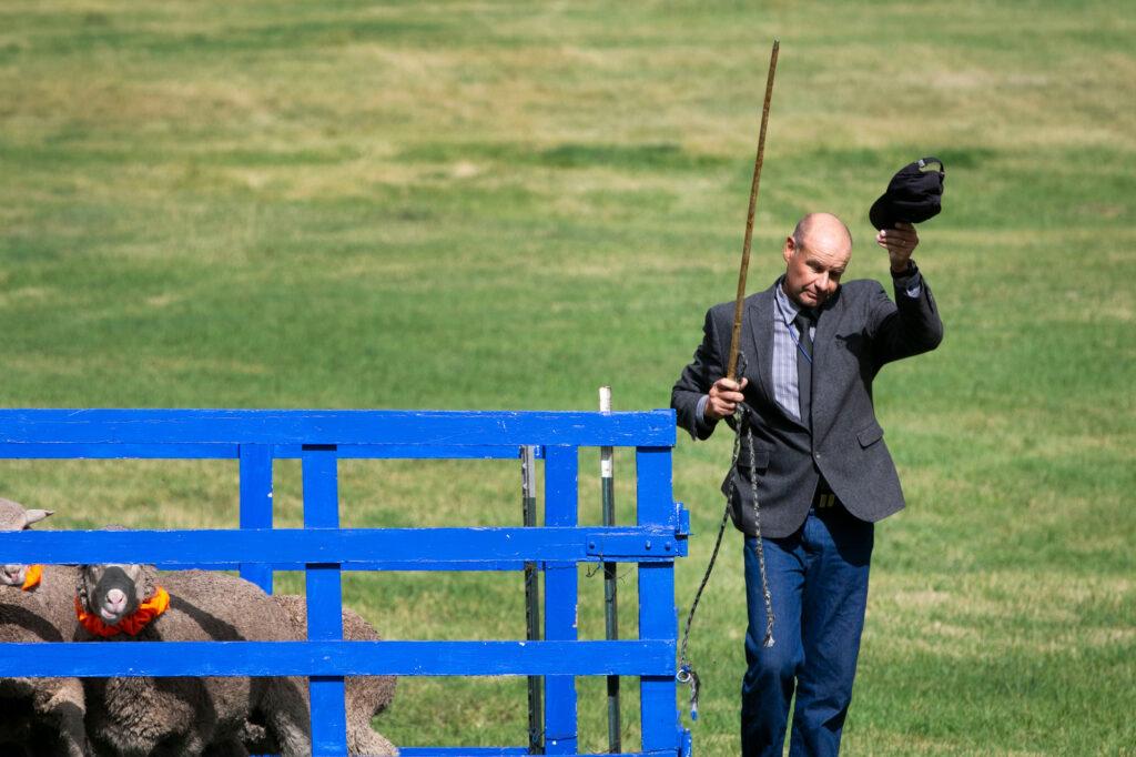 210912-MEEKER-SHEEPDOG-TRIALS-SCENES