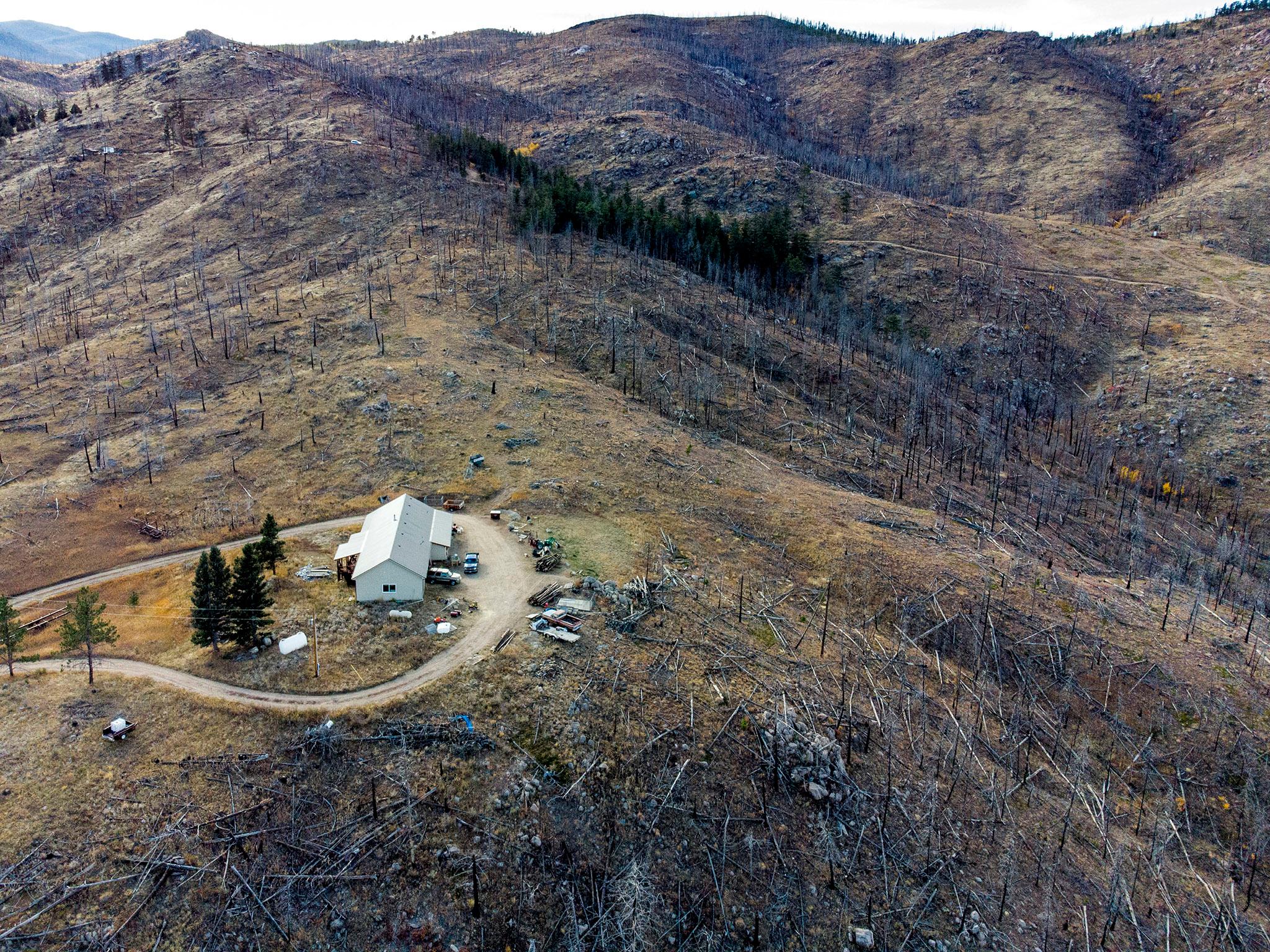 Burned trees left from the 2020 Cameron Peak fire in Larimer County. Oct. 24, 2021.