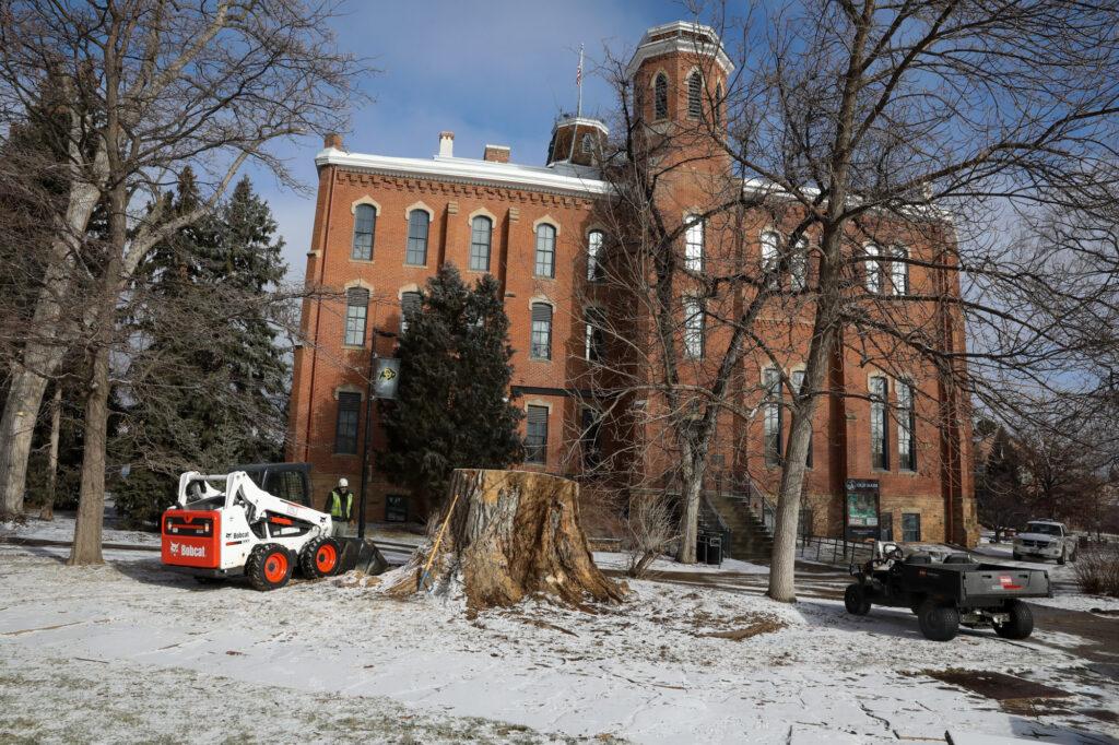 220120-OLD-MAIN-COTTONWOOD-CU-BOULDER