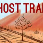 Ghost Train 3x2 logo