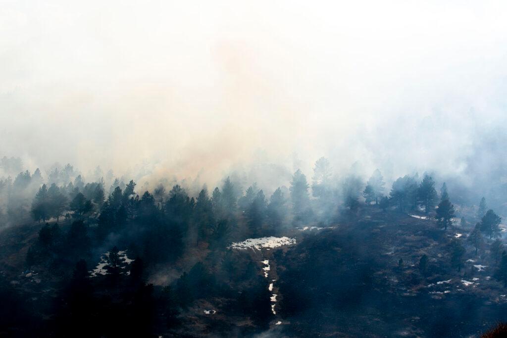 NCAR fire burns near Boulder&#039;s Table Mesa neighborhood. March 26, 2022.