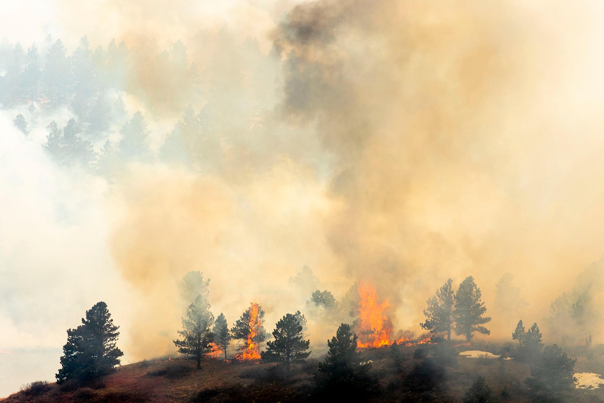 NCAR fire burns near Boulder&#039;s Table Mesa neighborhood. March 26, 2022.