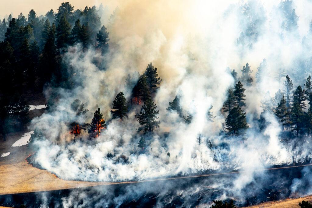 NCAR fire burns near Boulder's Table Mesa neighborhood. March 26, 2022.