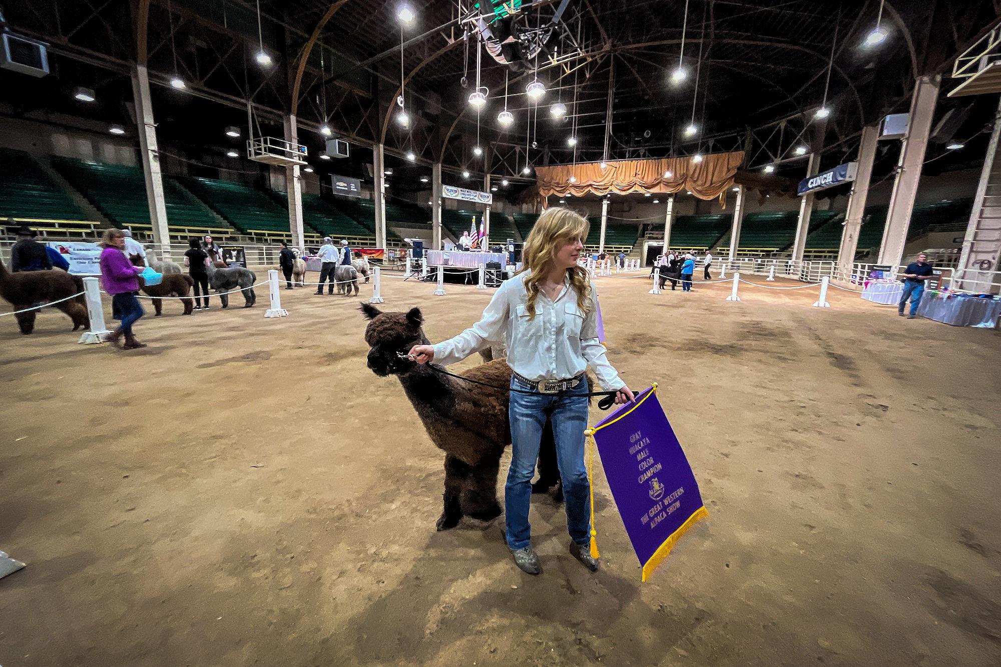 220429-ALPACA-SHOW-NATIONAL-WESTERN