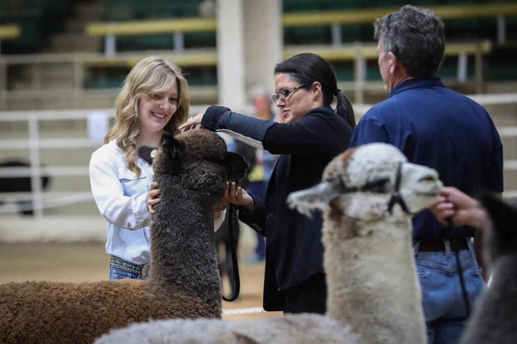 220429-ALPACA-SHOW-NATIONAL-WESTERN