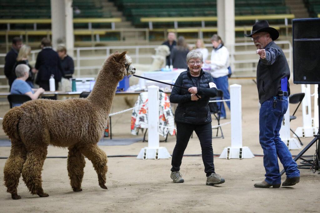 220429-ALPACA-SHOW-NATIONAL-WESTERN