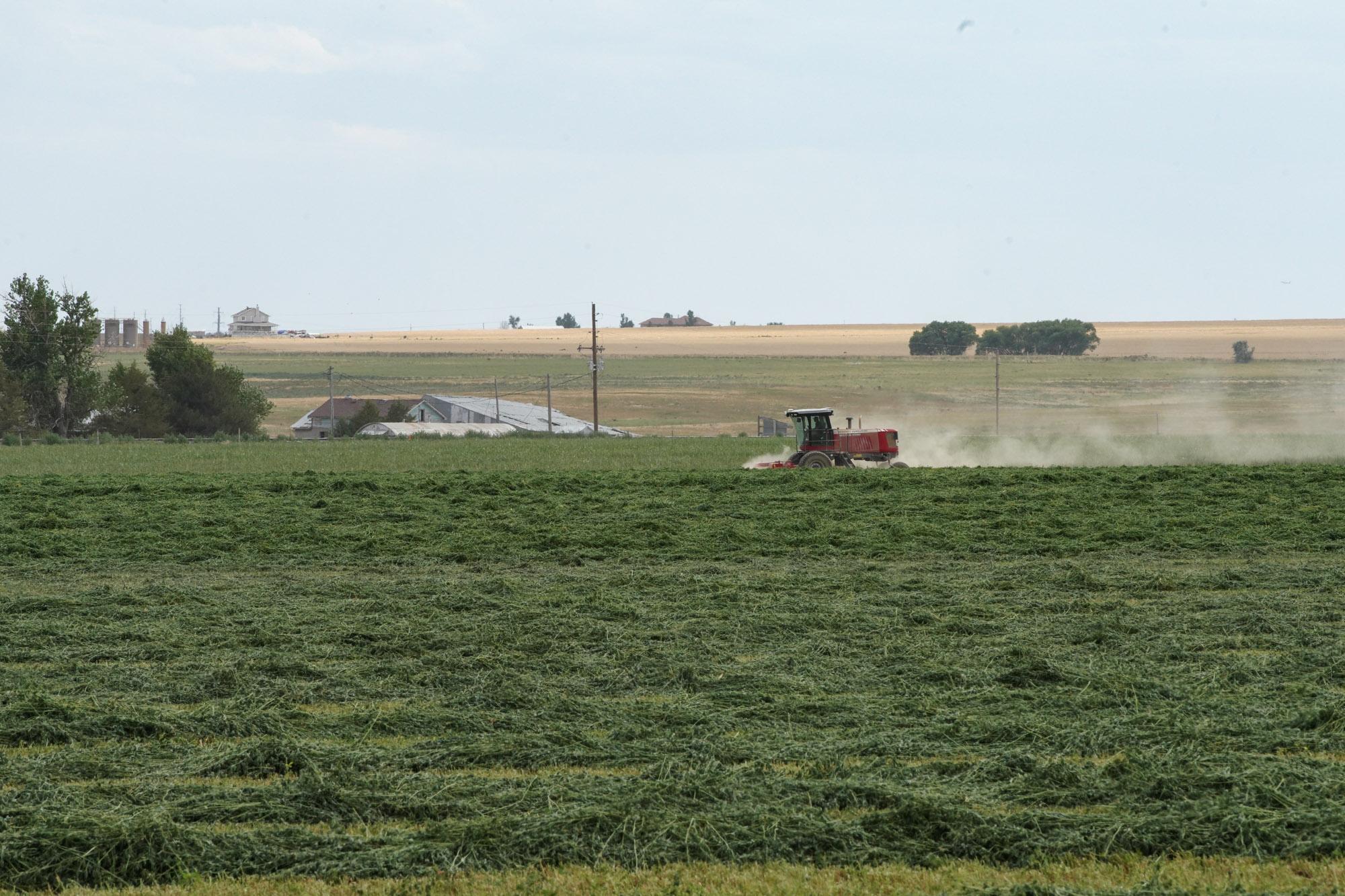 220720-WELD-COUNTY-AG-FARMING-HARVEST