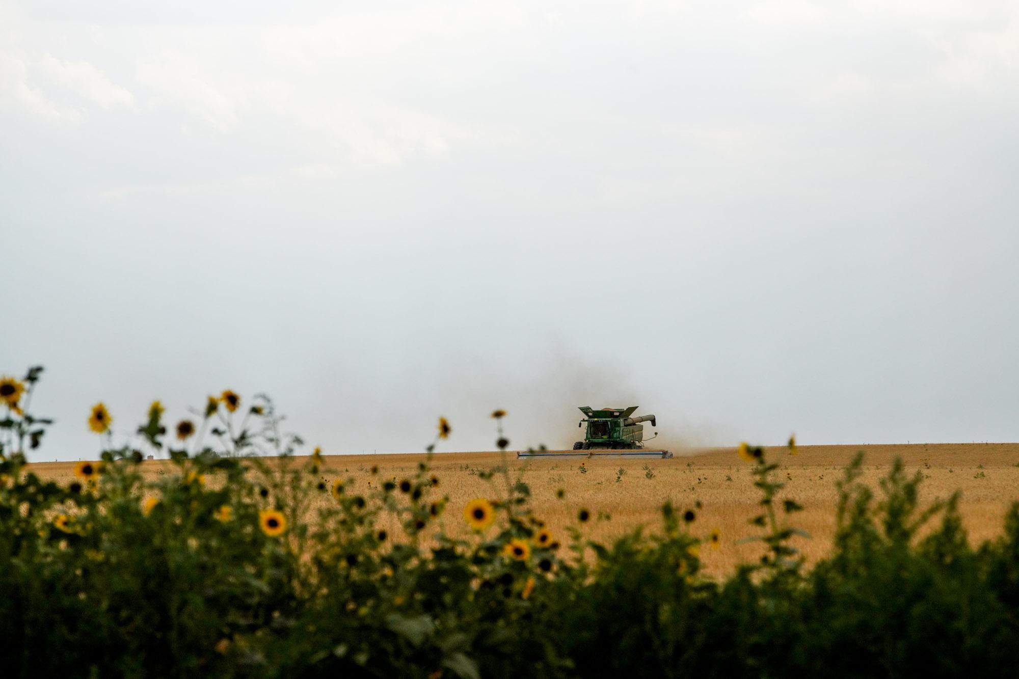 220720-WELD-COUNTY-AG-FARMING-HARVEST