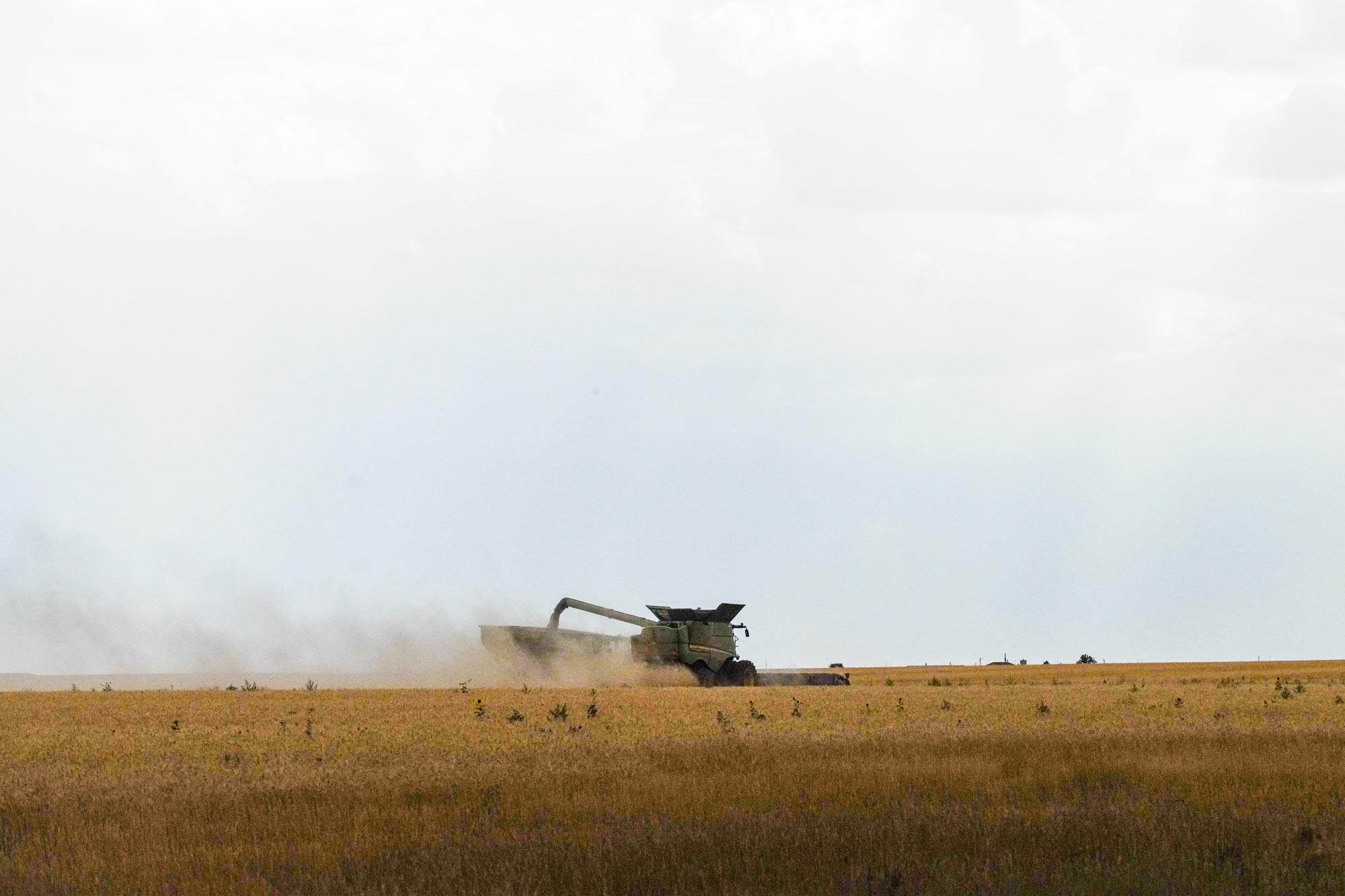 220720-WELD-COUNTY-AG-FARMING-HARVEST