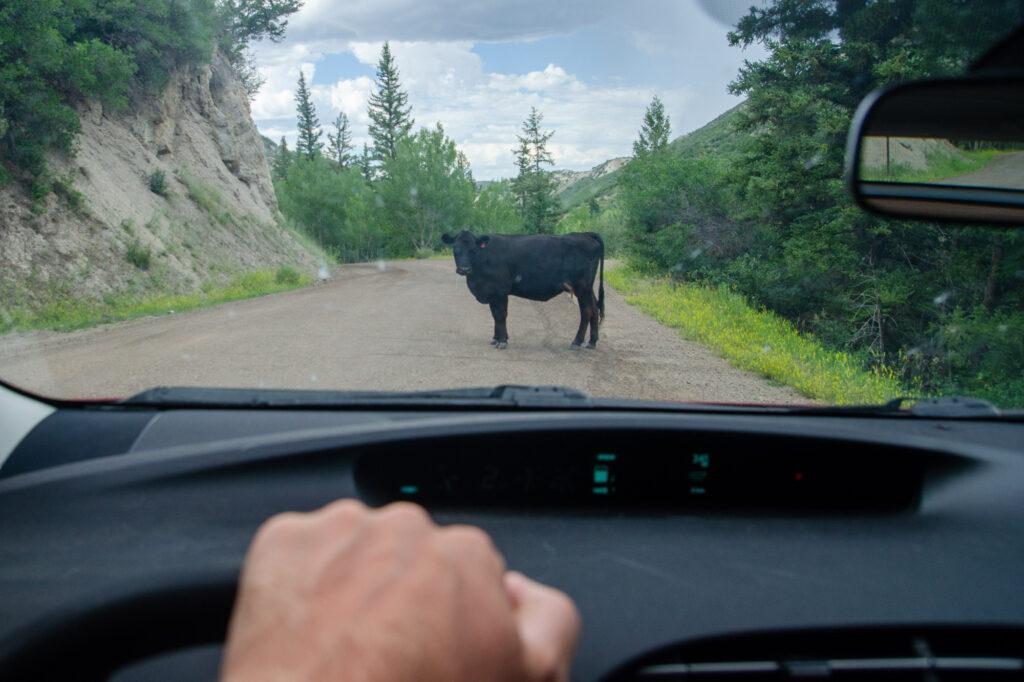 220725-COTTONWOOD-PASS-NM