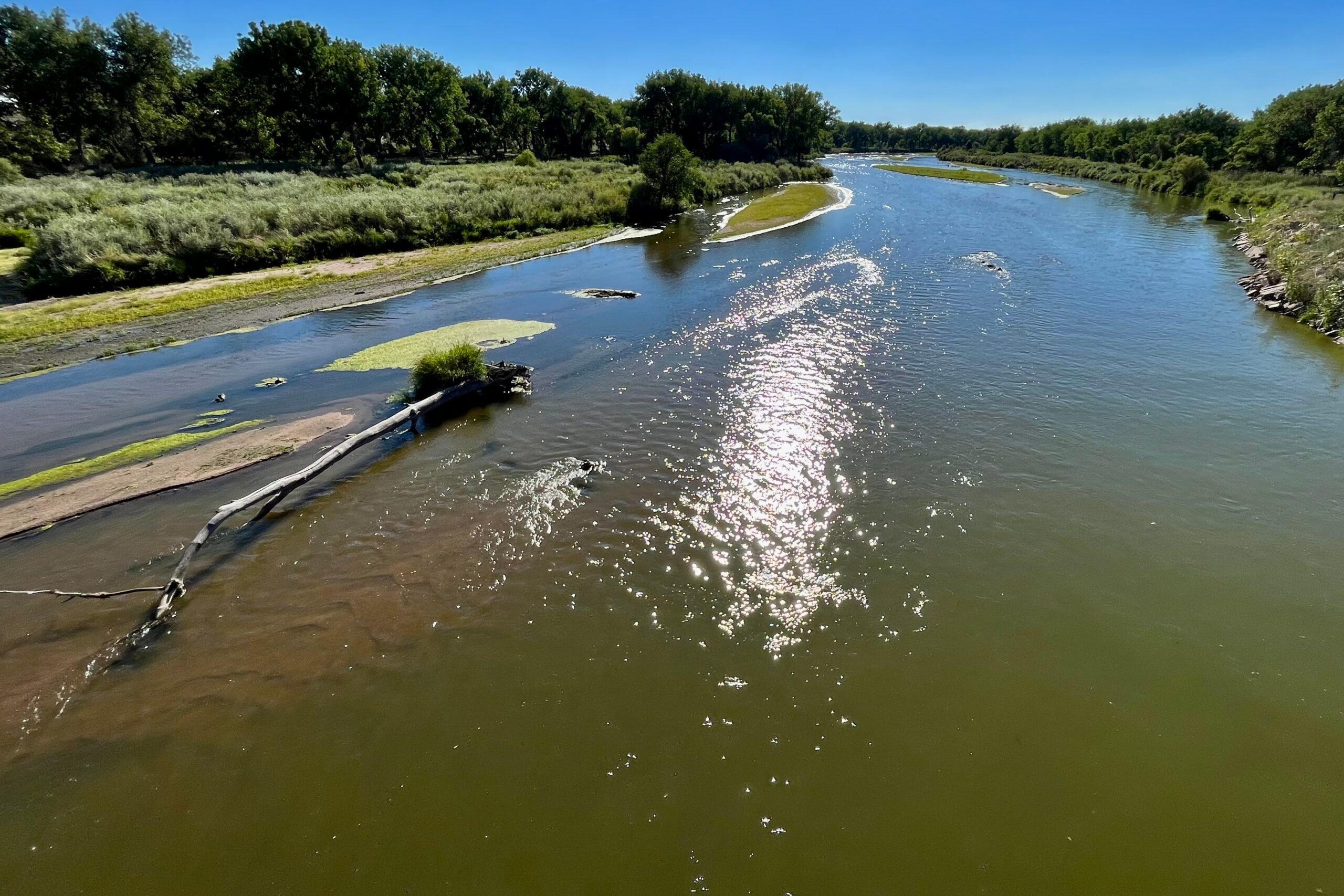 The image features a river. The water appears to be murky.