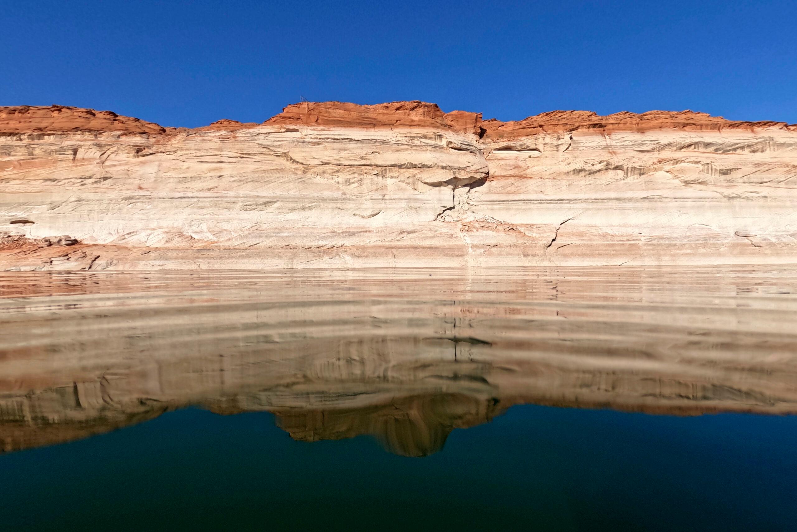 Colorado River Fish At Risk