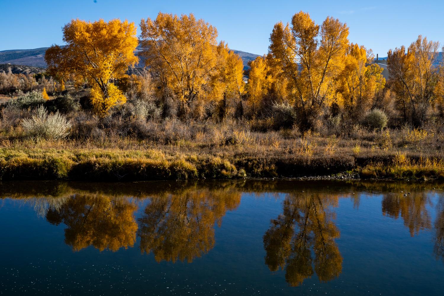 20221019-FALL-LEAVES-AUTUMN-EAGLE-RIVER-0GYPSUM