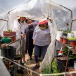 Dolores Alfaro works in her backyard garden, which has been supercharged with nonprofit GrowHaus' help. May 11, 2022.