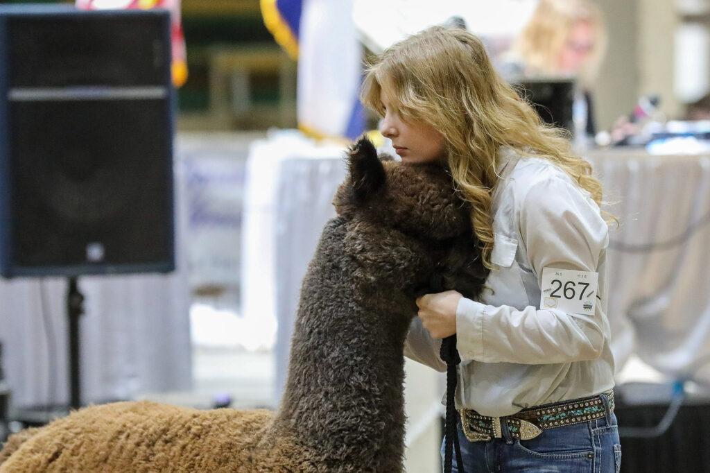 220429-ALPACA-SHOW-NATIONAL-WESTERN