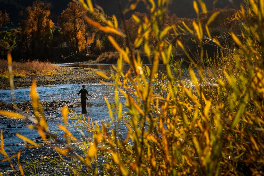 POY-2022-OCTOBER-FALL-LEAVES-AUTUMN-EAGLE-RIVER-0GYPSUM