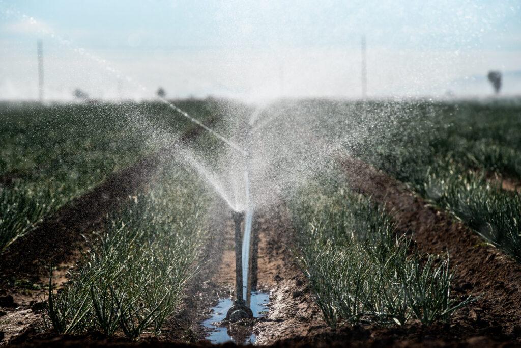 20230126-COLORADO-RIVER-SOLUTIONS-DESERT-AG-IMPERIAL-VALLEY-CALIFORNIA