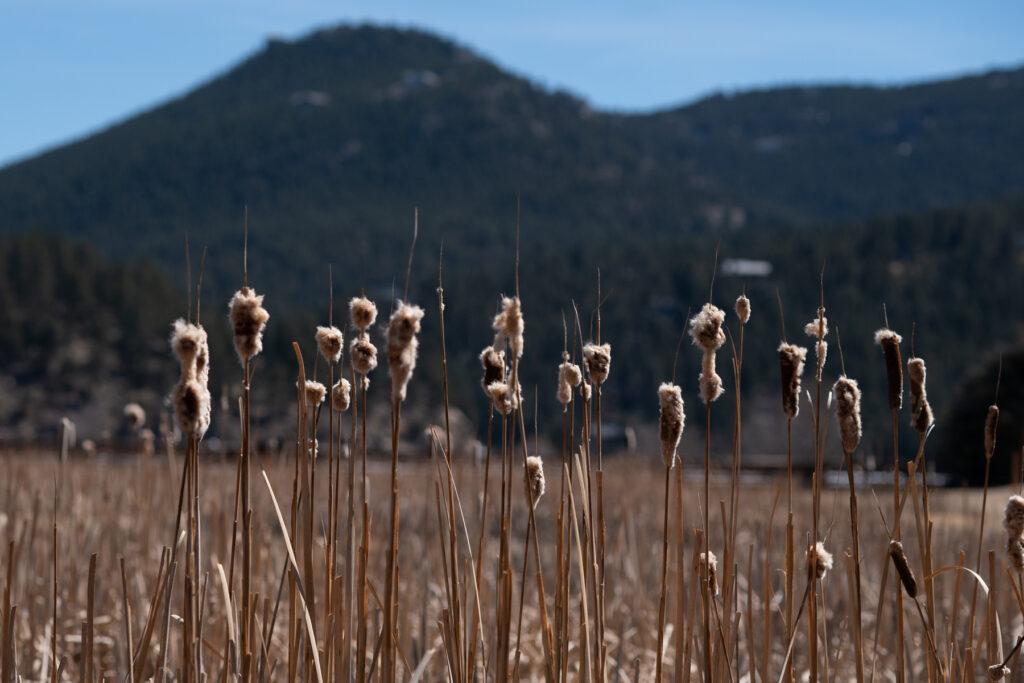 20230410-DENVER-MOUNTAIN-PARKS-EVERGREEN-LAKE-PUBLIC-TRANSIT