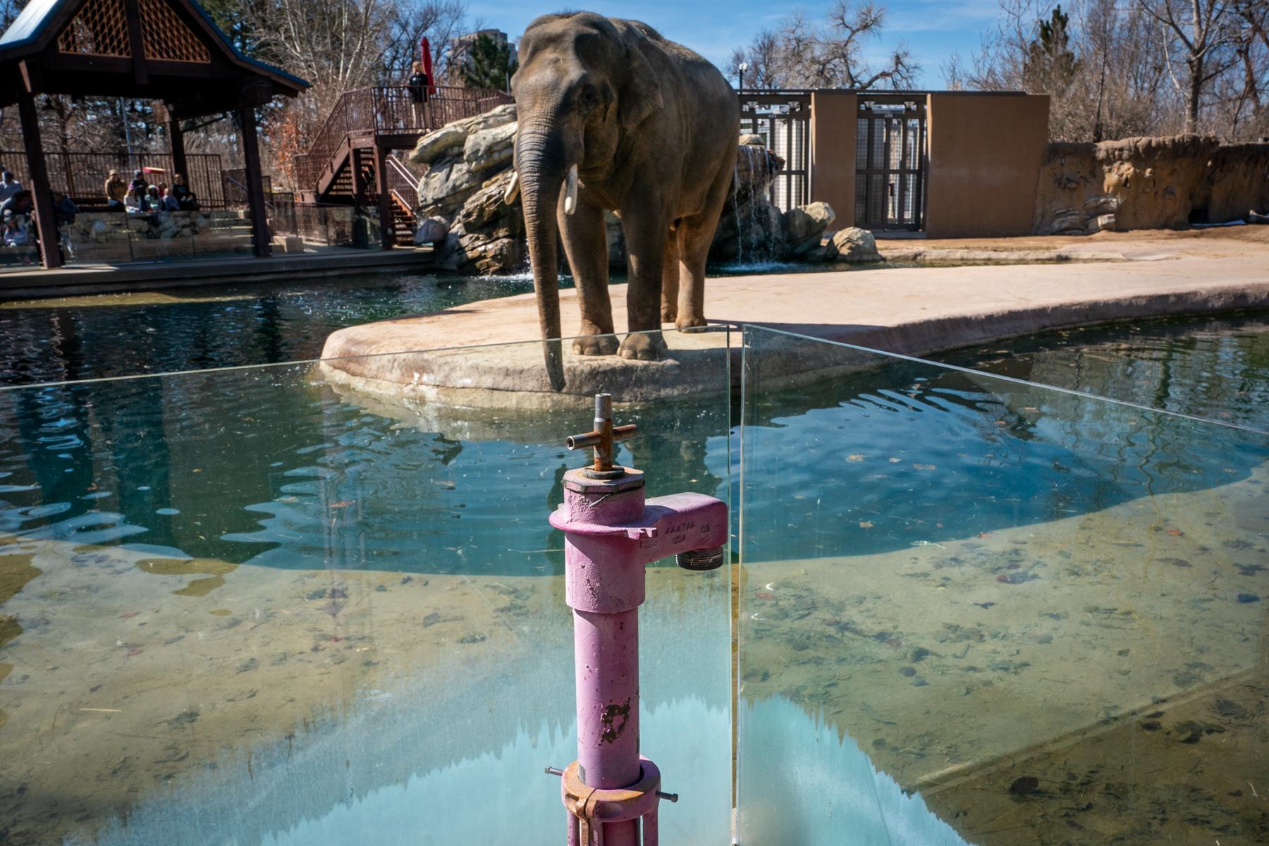 PARCHED-COLORADO-RIVER-RECLAIMED-WATER-DENVER-ZOO
