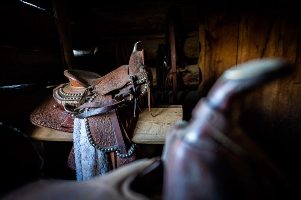 lady-moon-ranch-red-feather-lakes