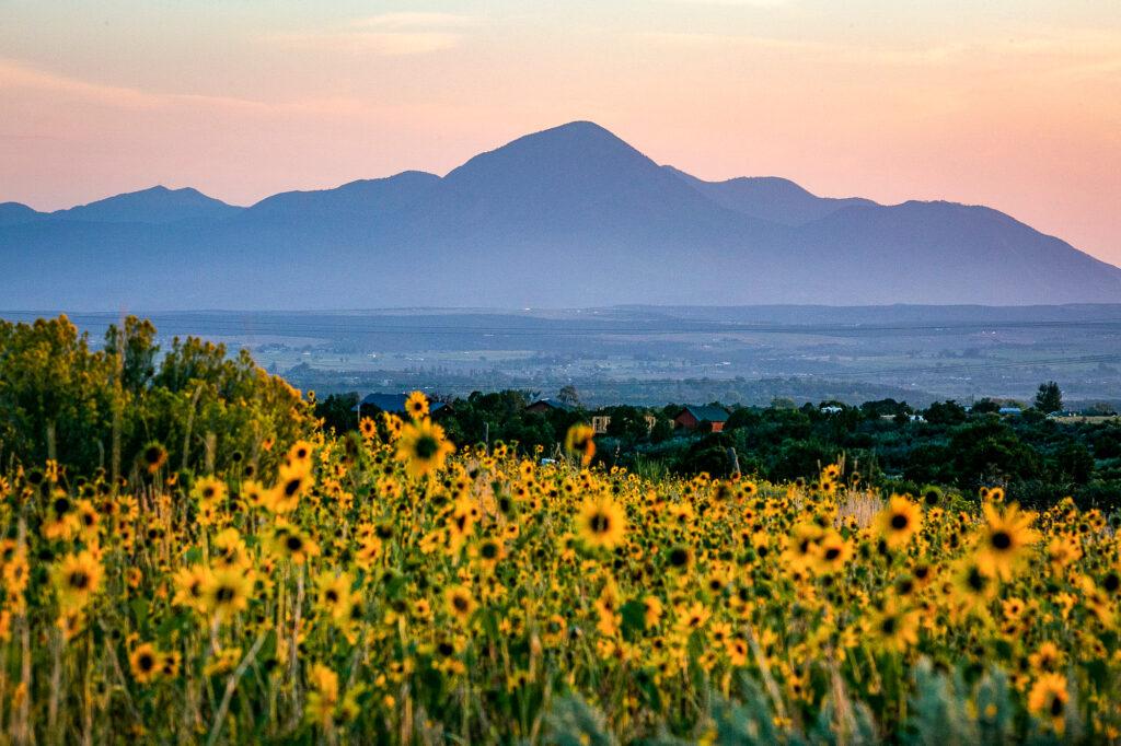 READING COLORADO REGINA LOPEZ-WHITESKUNK  PETER ANDERSON UTE MOUNTAIN UTE TOWAOC FOUR CORNERS