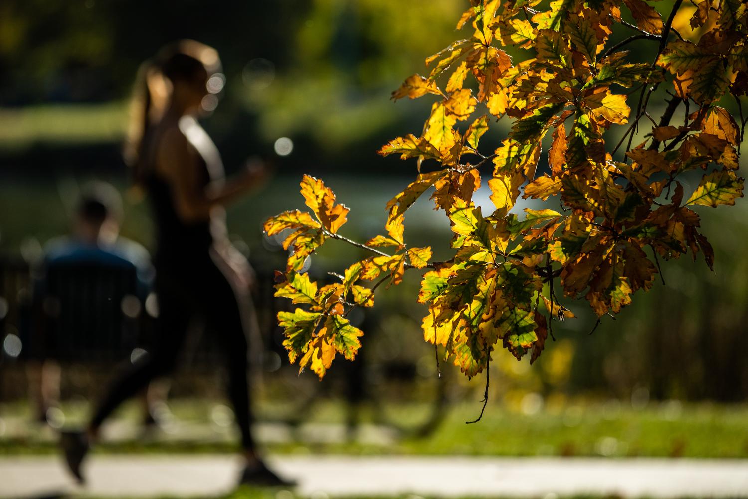 FALL-WEATHER-LEAVES-CITY-PARK-DENVER