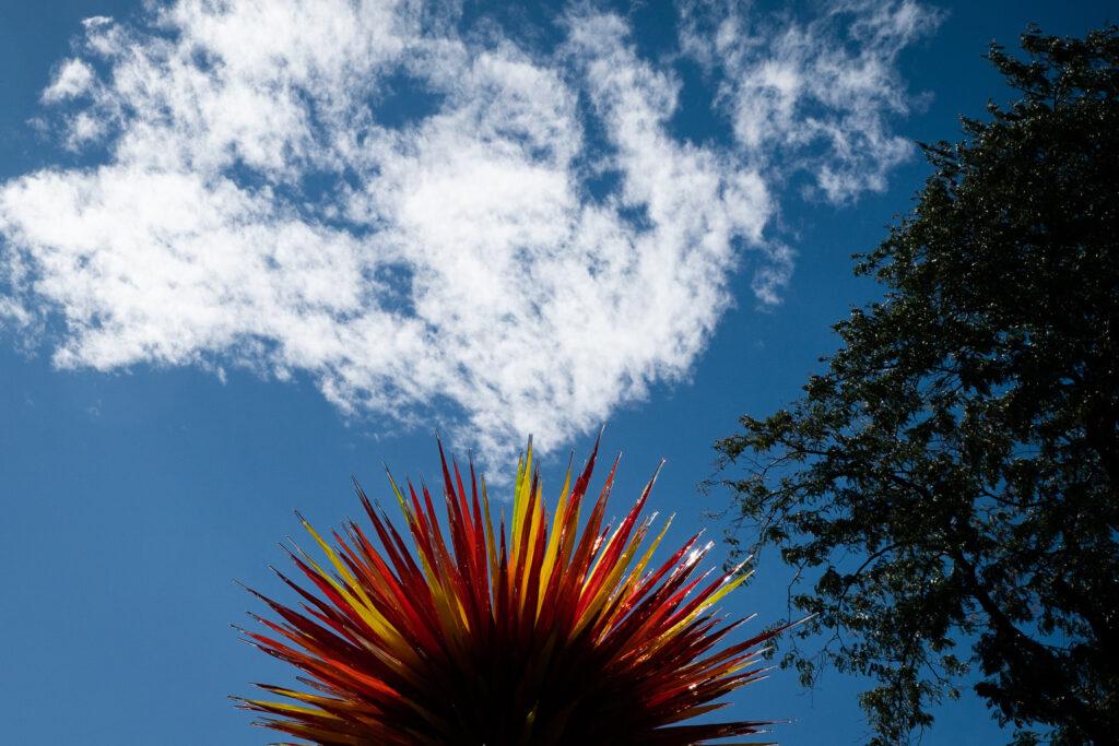 CHIHULY GLASS SCULPTURE DENVER BOTANIC GARDENS