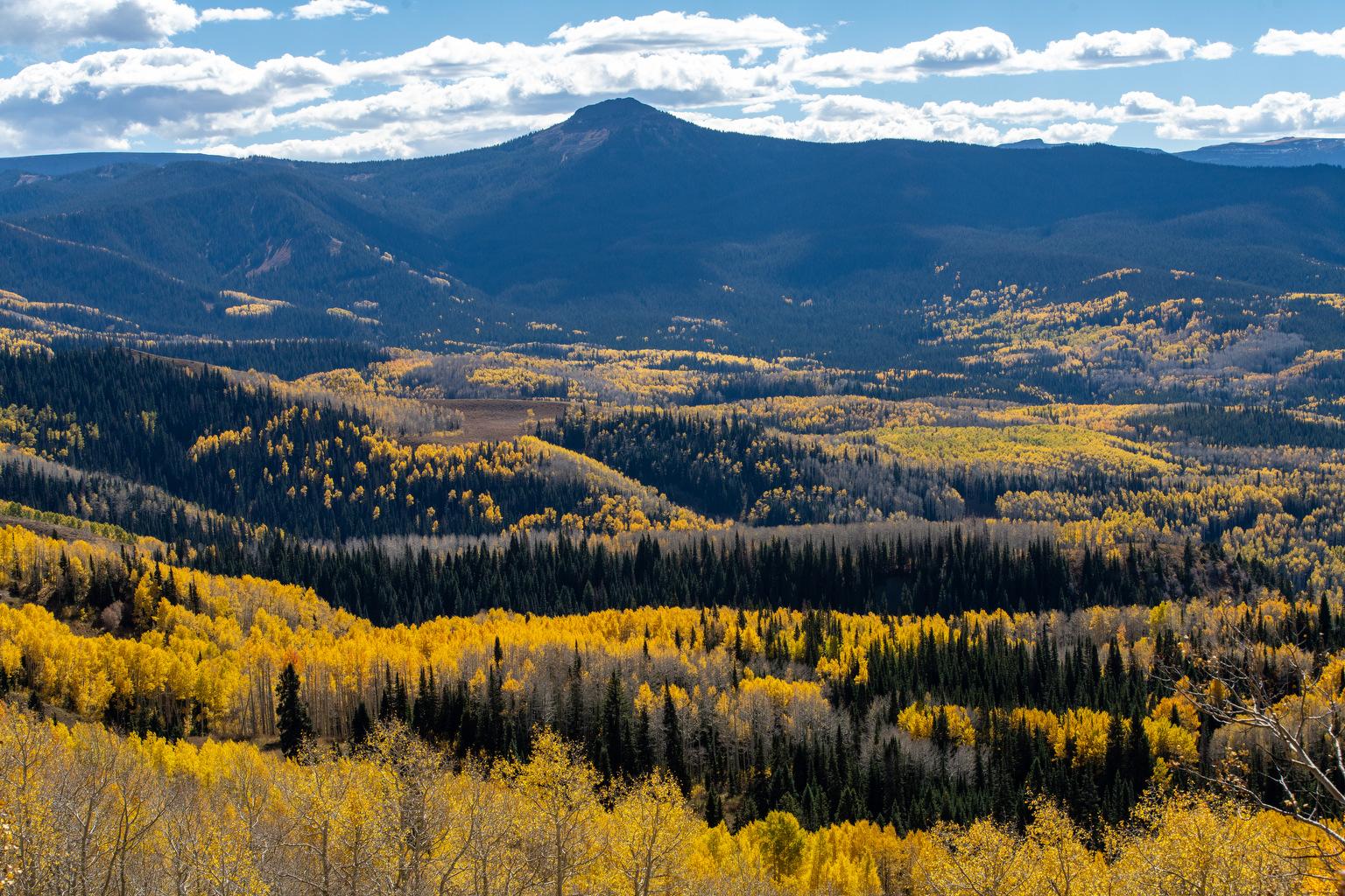 FALL-ASPENS-LEAF-PEEPING-23109