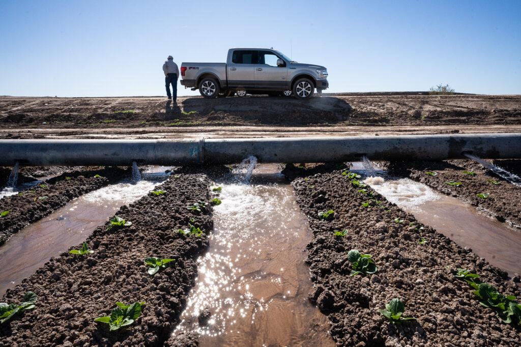 2023YIP01-PARCHED-IMPERIAL-VALLEY-IRRIGATION