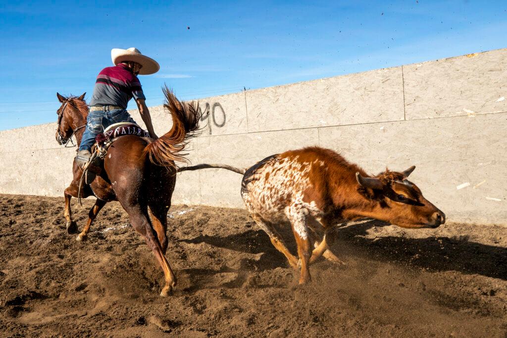 2023YIP12-CHARROS