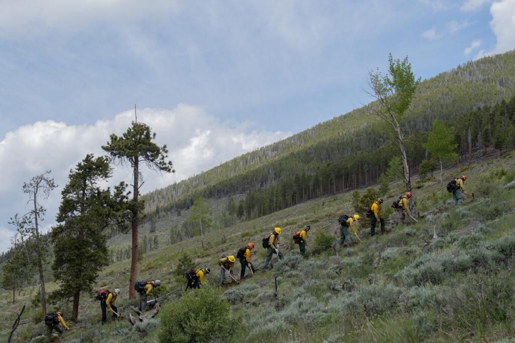 COLORADO-WILDFIRE-MITIGATION-JACK-KOVALIK