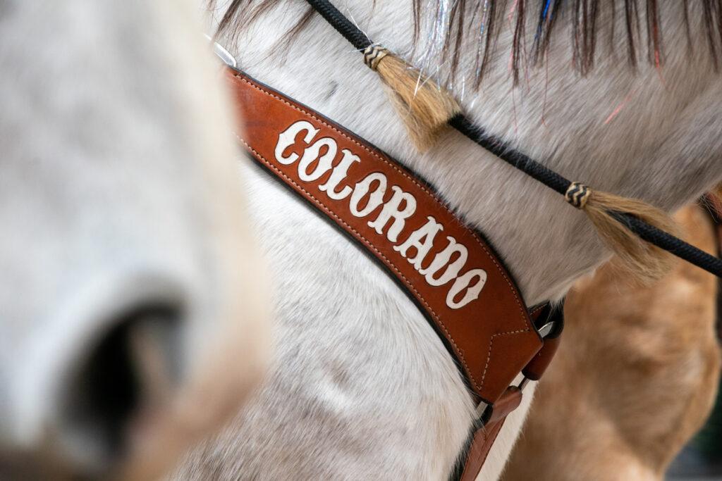 240104-NWSS-STOCK-SHOW-PARADE