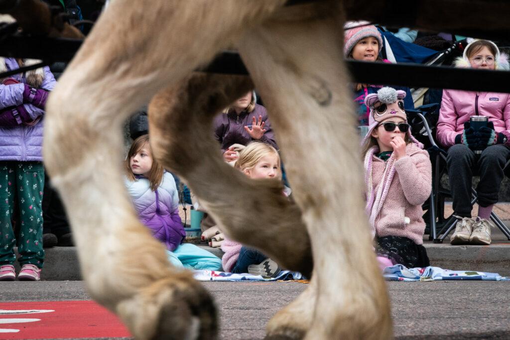 240104-NWSS-STOCK-SHOW-PARADE