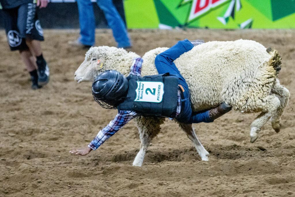 240115-MLK-RODEO-NWSS-STOCK-SHOW